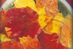 67. Autumn Leaves